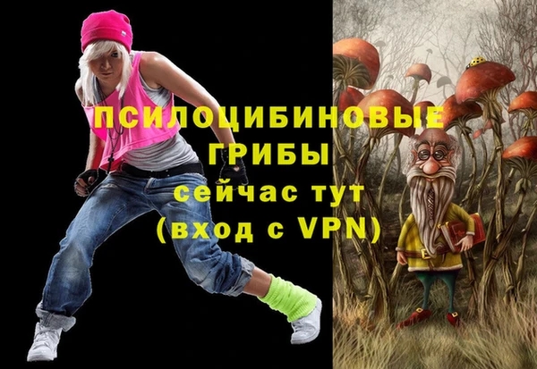 хмурый Армянск