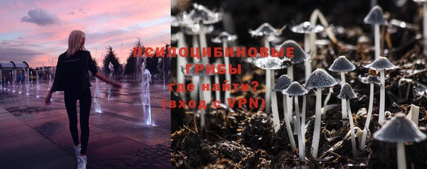 хмурый Армянск