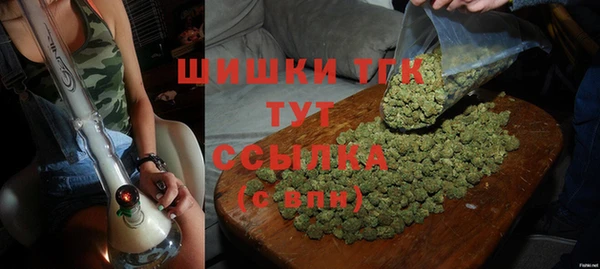 прущие крисы Арсеньев