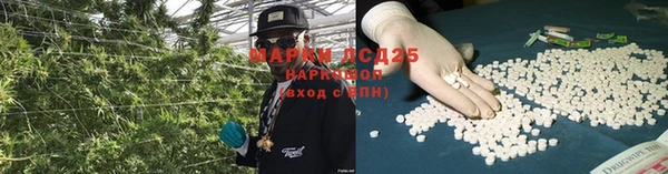 дживик Аркадак