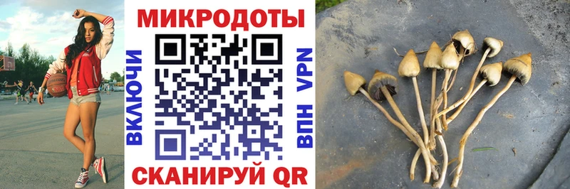Галлюциногенные грибы Magic Shrooms  Баксан 