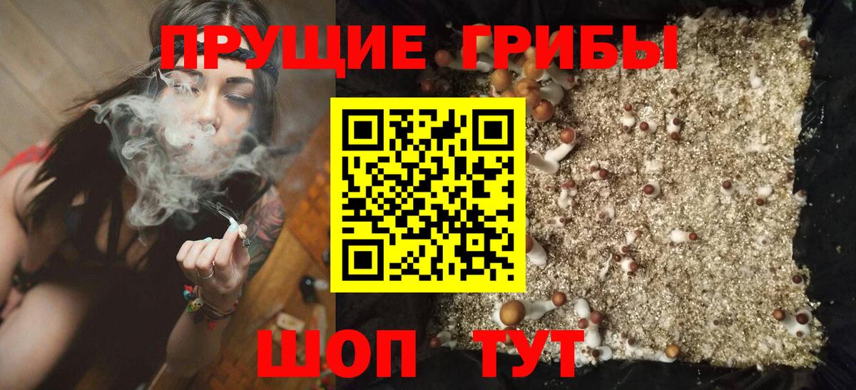 Баксан  Галлюциногенные грибы мицелий  Вход с VPN 